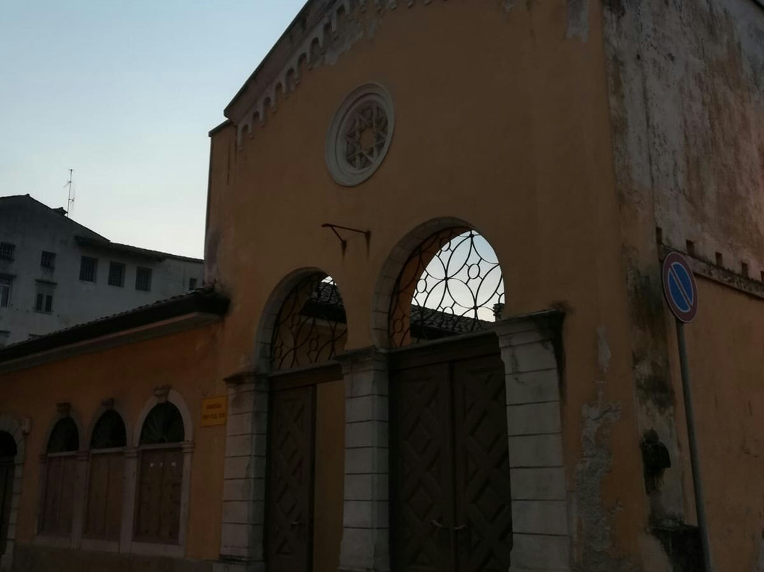 Sinagoga Ebraica景点图片