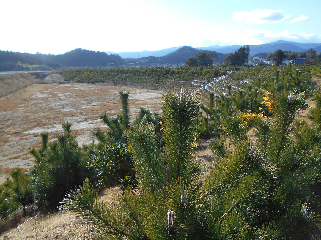 Hirono Disaster Prevention Green Space-广野町必去景点