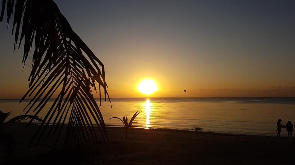 PavoReal Beach Resort Tulum主图