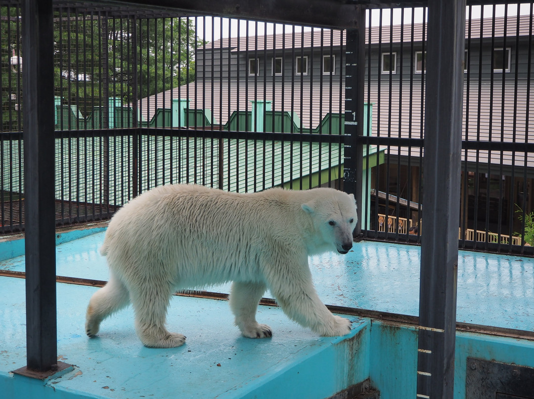 Obihiro Zoo-带广市必去景点
