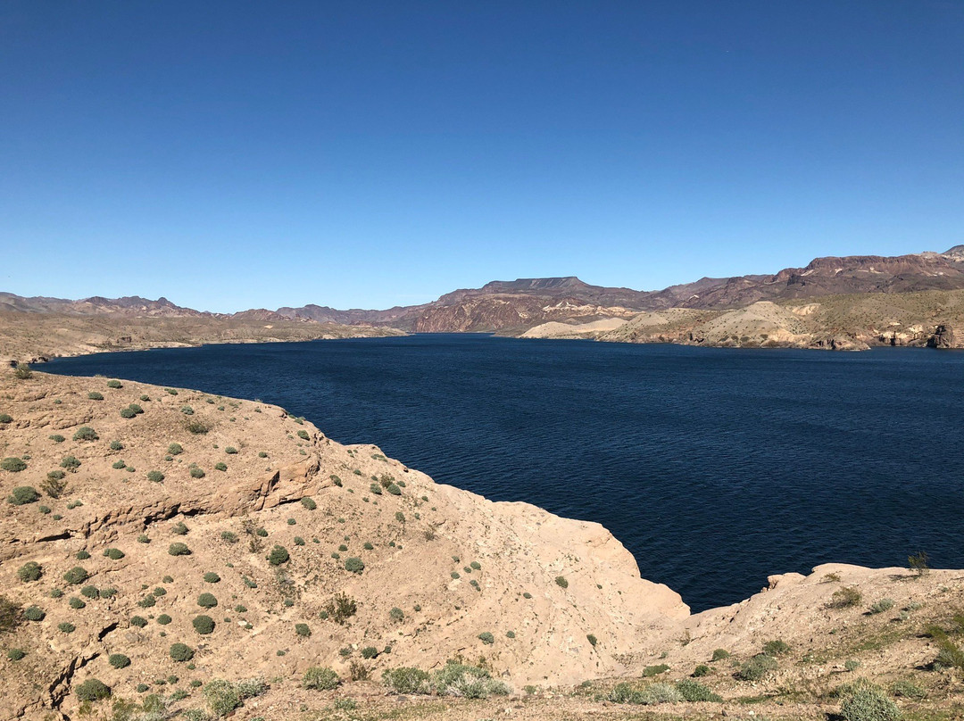 Nelson's Landing Cliff Jumping-Nelson必去景点