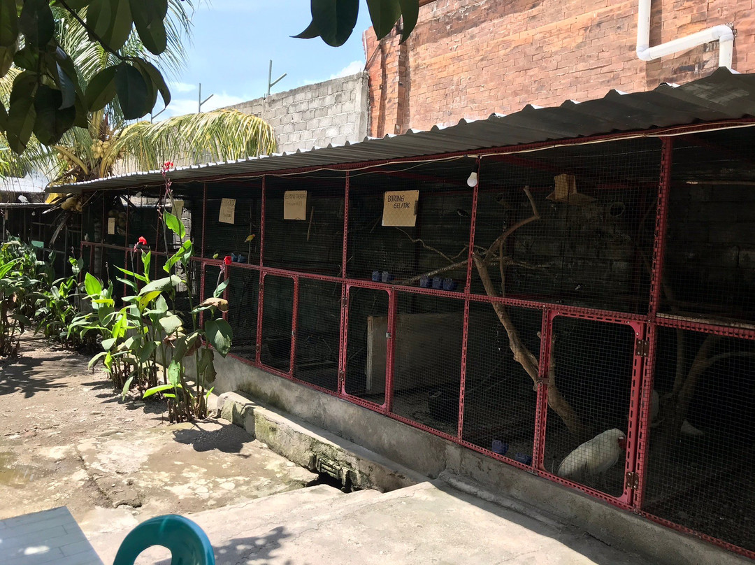 Narmada Botanic Garden-马塔兰必去景点