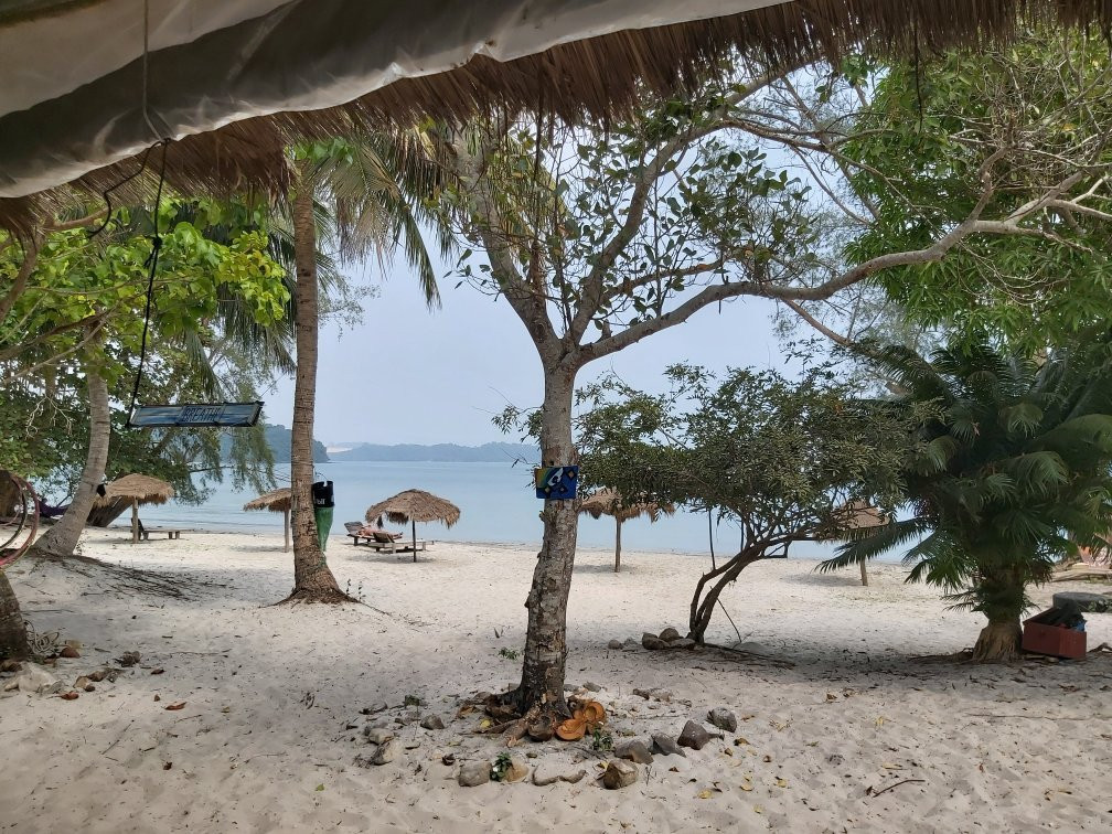 The Last Point主图