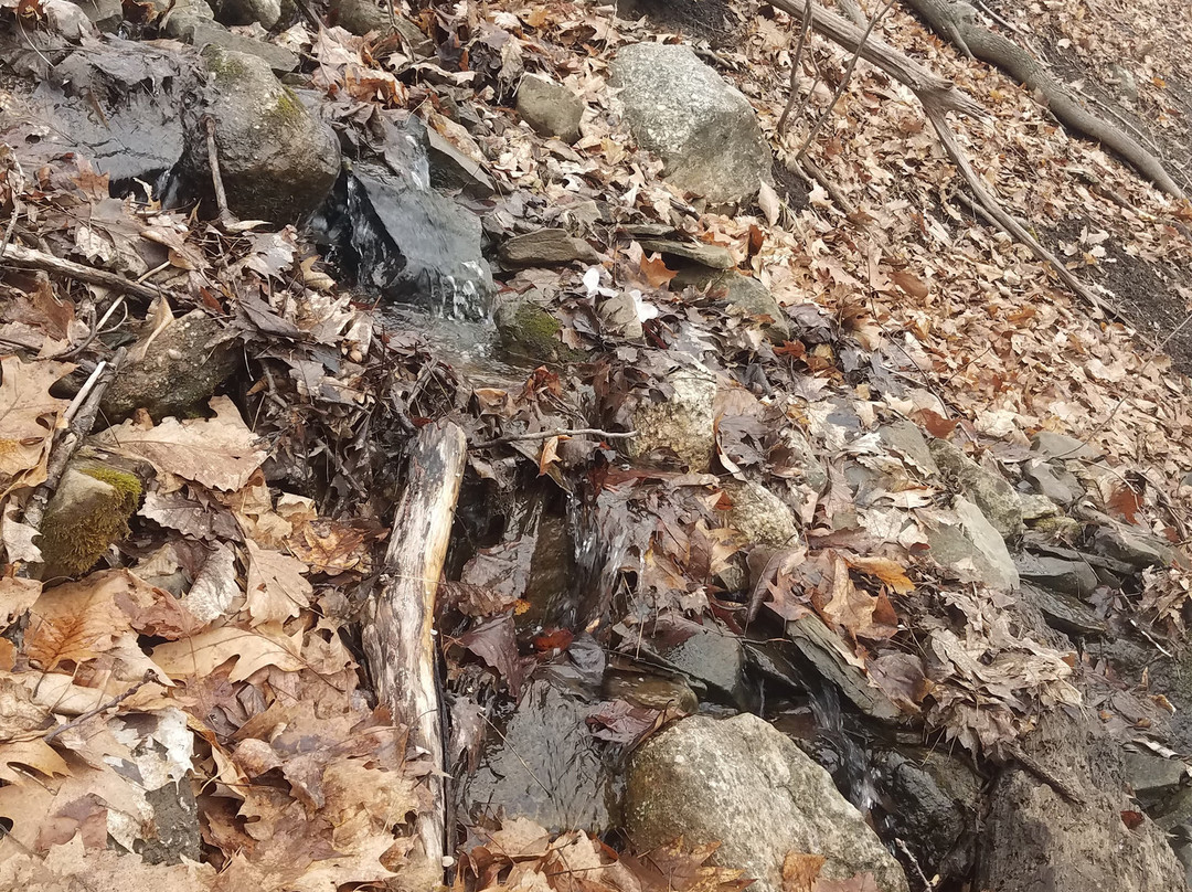 Serene Vista Spa Bed & Breakfast主图