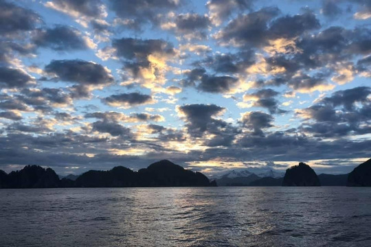 Saltwater Safari Company-苏厄德必去景点