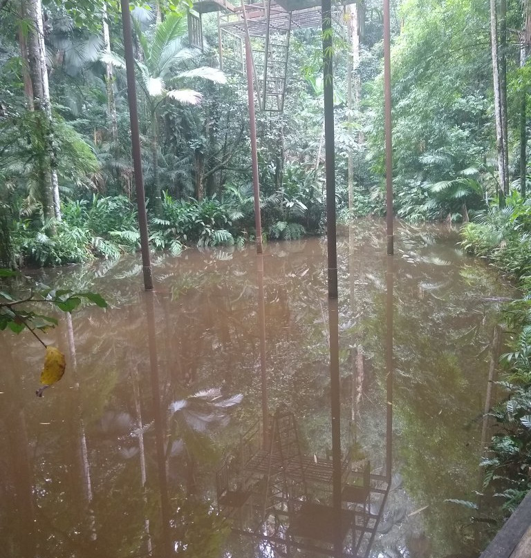 Burle Marx Park-圣保罗必去景点