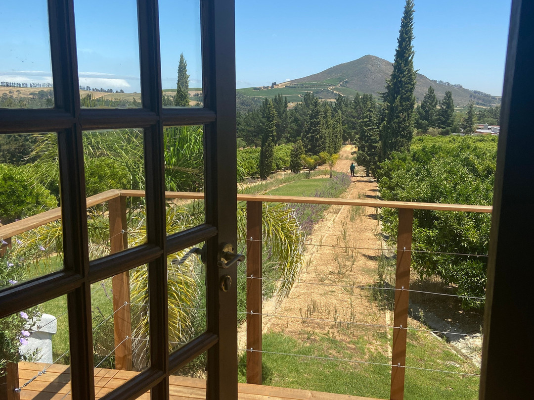 Marianne Wine Estate Guesthouse主图