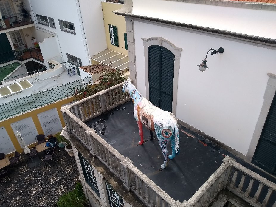 Universo de Memórias João Carlos Abreu-沙尔必去景点