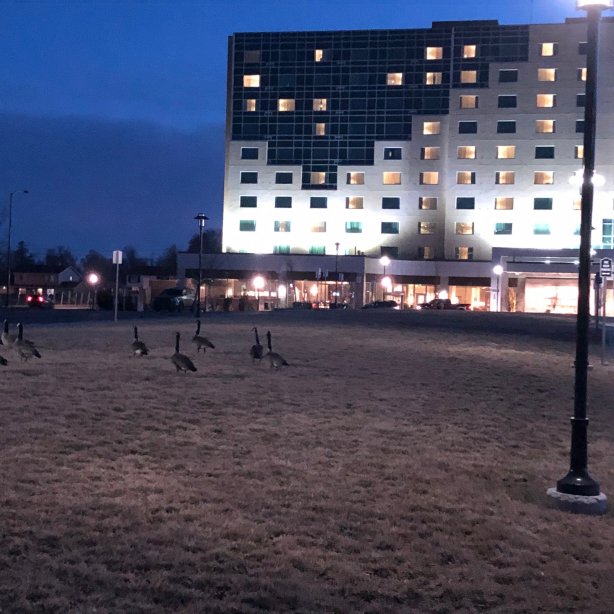 奥罗拉丹佛会议中心凯悦酒店-浴室