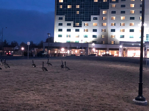 奥罗拉丹佛会议中心凯悦酒店主图