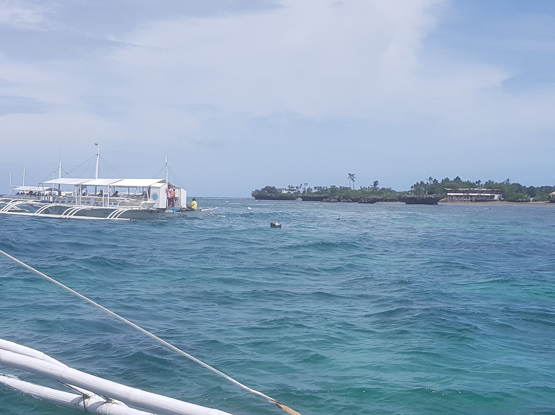 Coral Sea Dive Cebu-拉普拉普必去景点