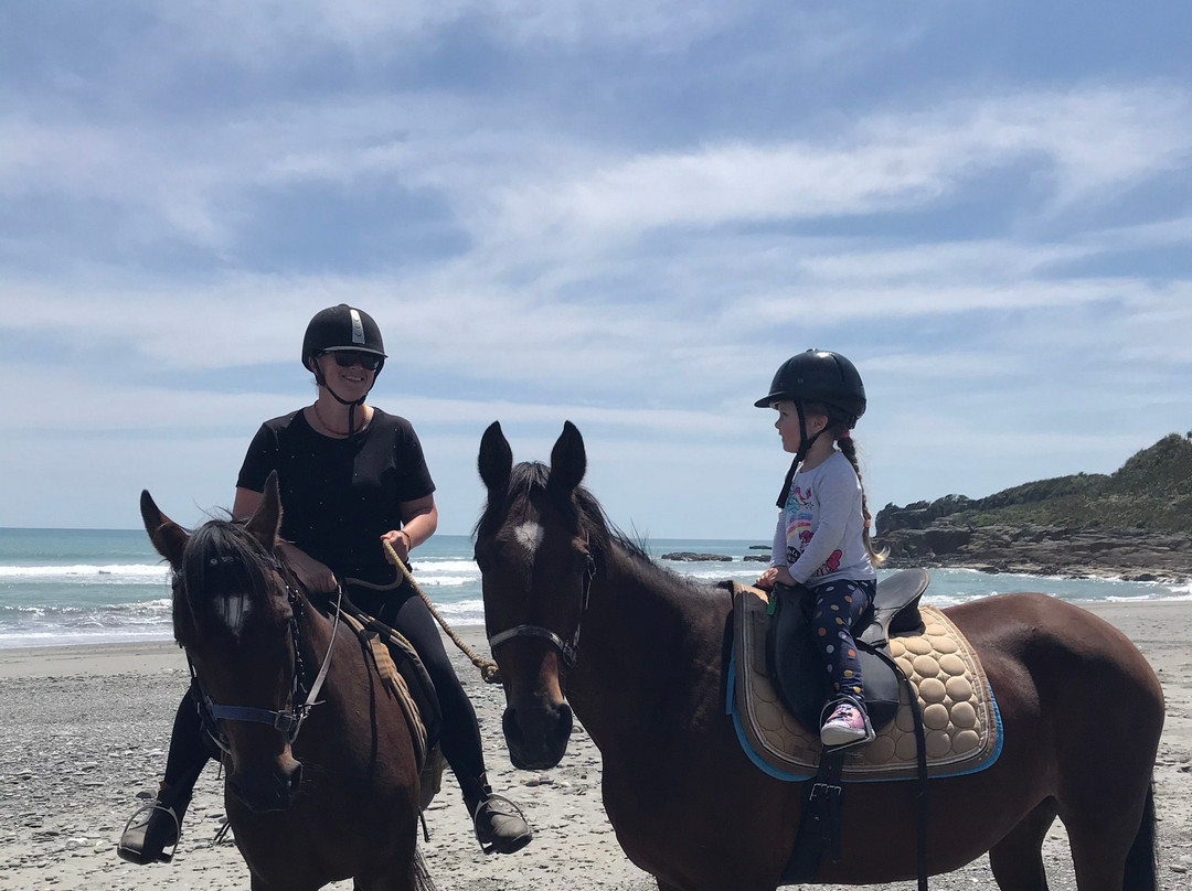 Punakaiki Horse Treks景点图片