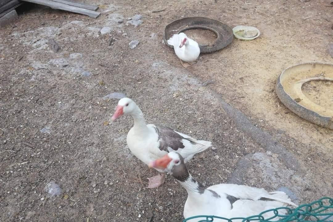 Rancho Didáctico La Poza Del Indio-墨西哥城必去景点