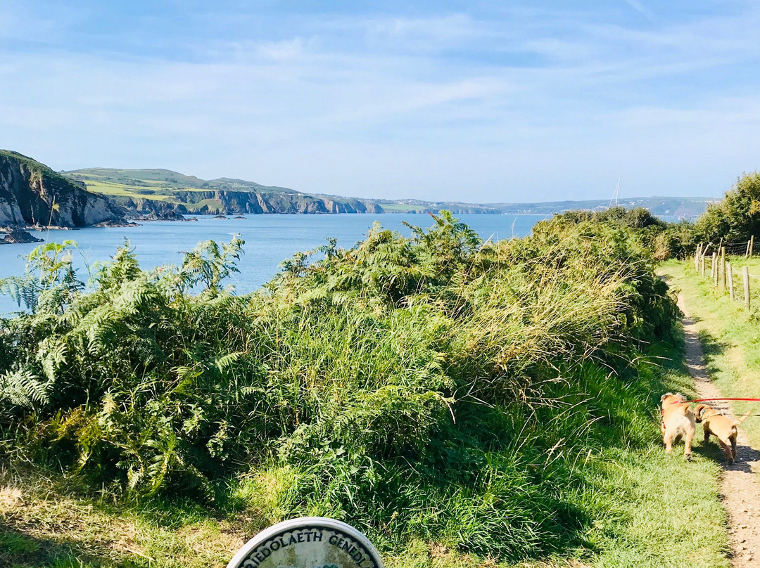 Dinas Head (Dinas Island)景点图片