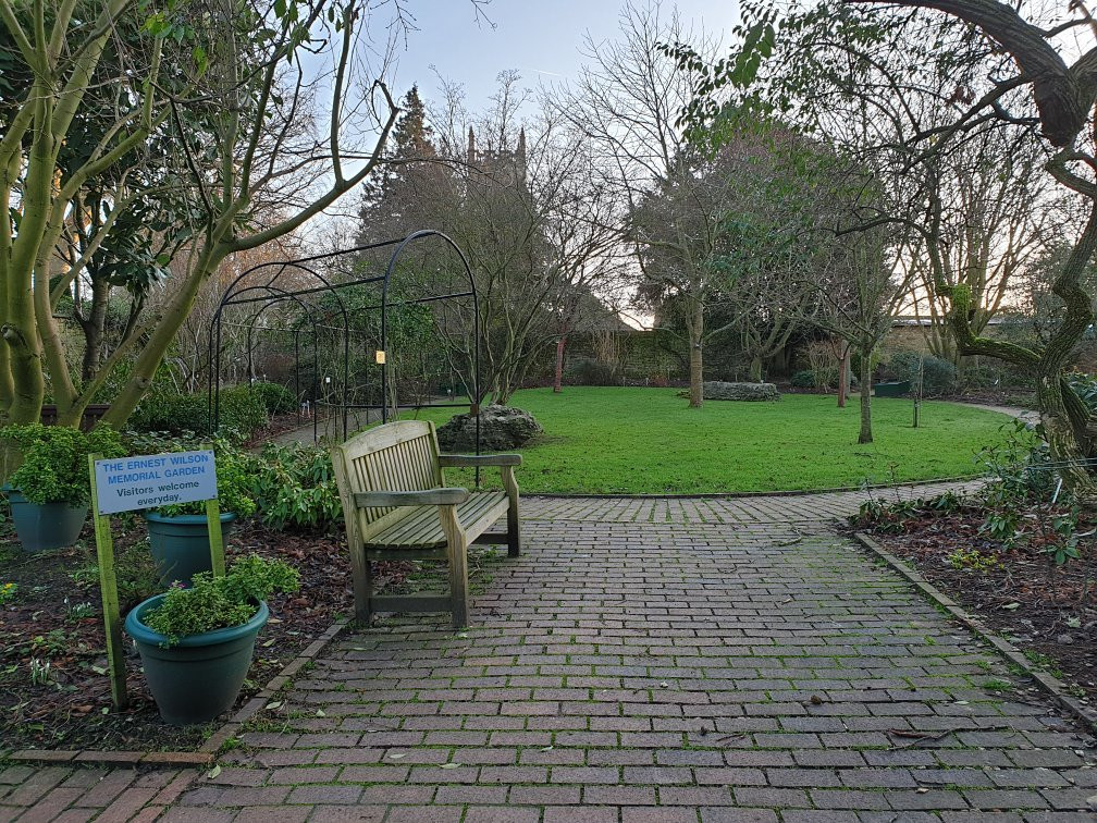 Ernest Wilson Memorial Garden景点图片