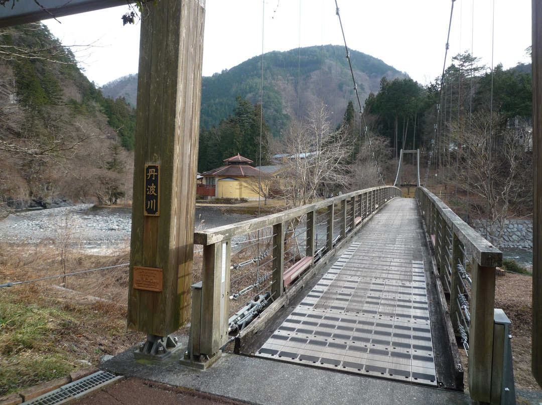 Tambayama Onsen Nomekoiyu景点图片