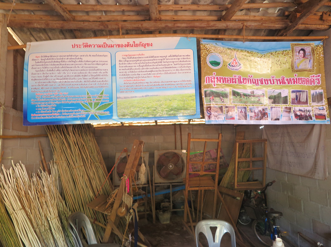 Hemp Weaving Group-扑柏必去景点