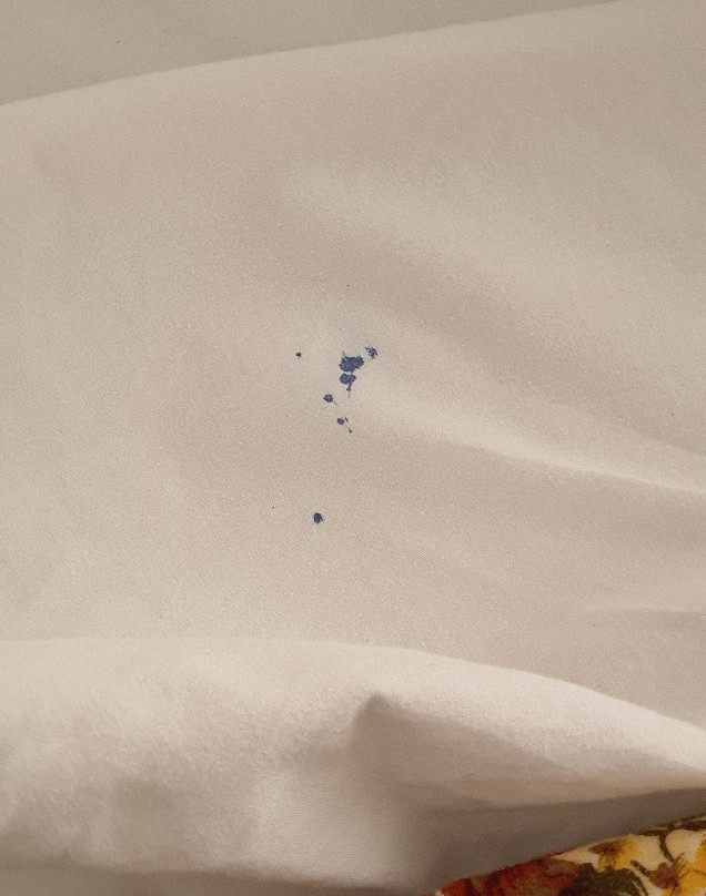 Oasey Ayurveda Hotel主图