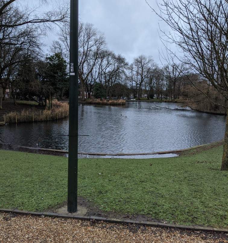 Hanley Park景点图片