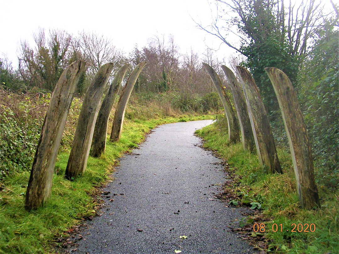 Lon Cob Bach Nature Reserve景点图片