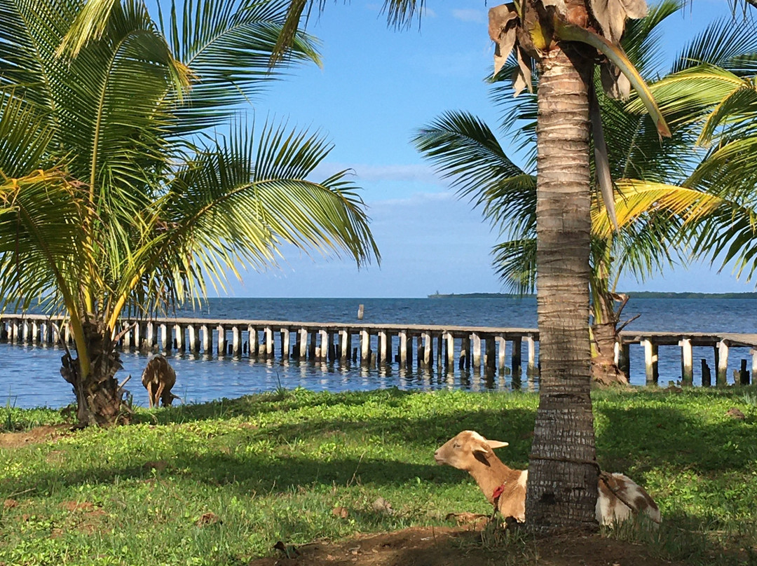 Casa Villa Mar y Esperanza主图