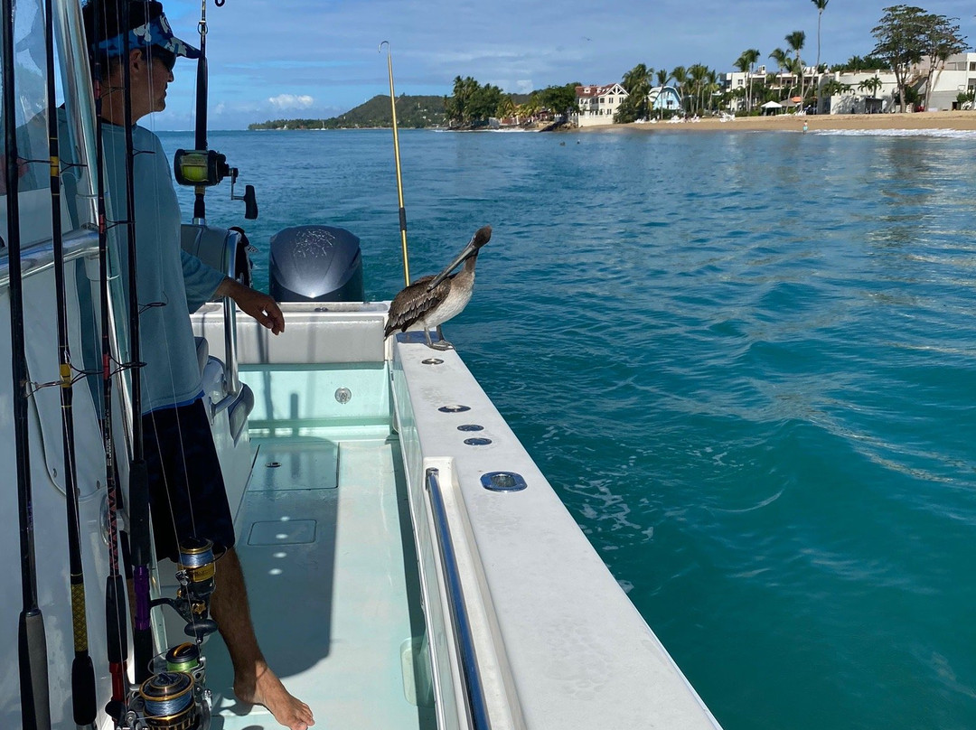 Makaira Fishing Charters-吕康必去景点