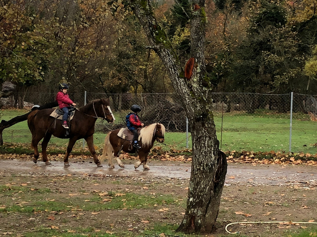 Ninemia Stay& Play主图