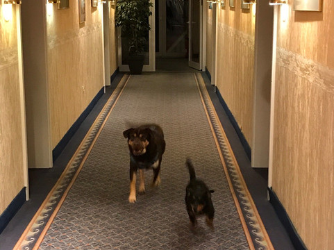 鲁切特芬恩酒店主图