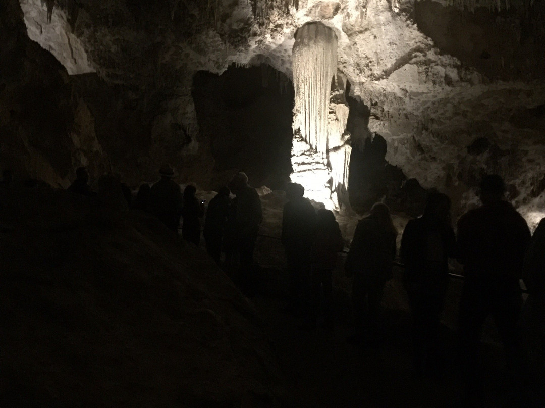 King's Palace-卡尔斯巴德洞穴国家公园必去景点