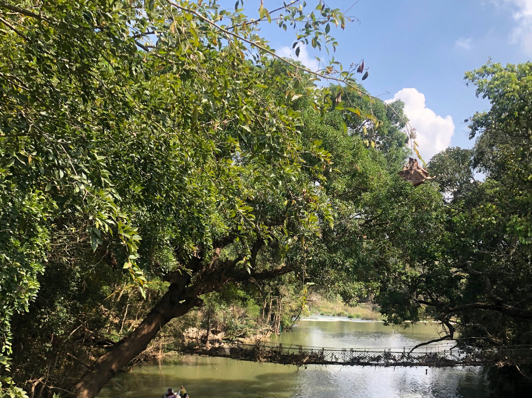 Nisargadhama Forest Resort主图