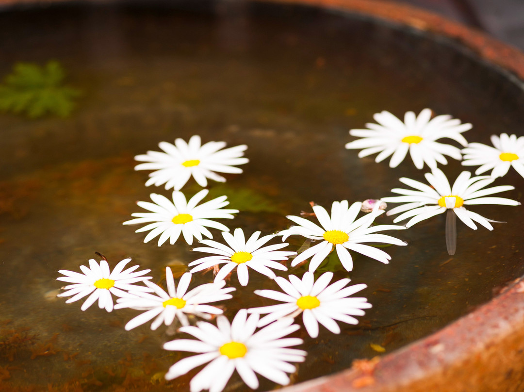 Heartwood Massage-戴尔斯福特必去景点