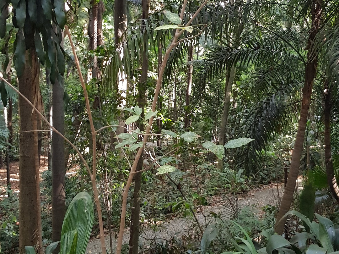 Tenente Siqueira Campos Park (Trianon)-圣保罗必去景点