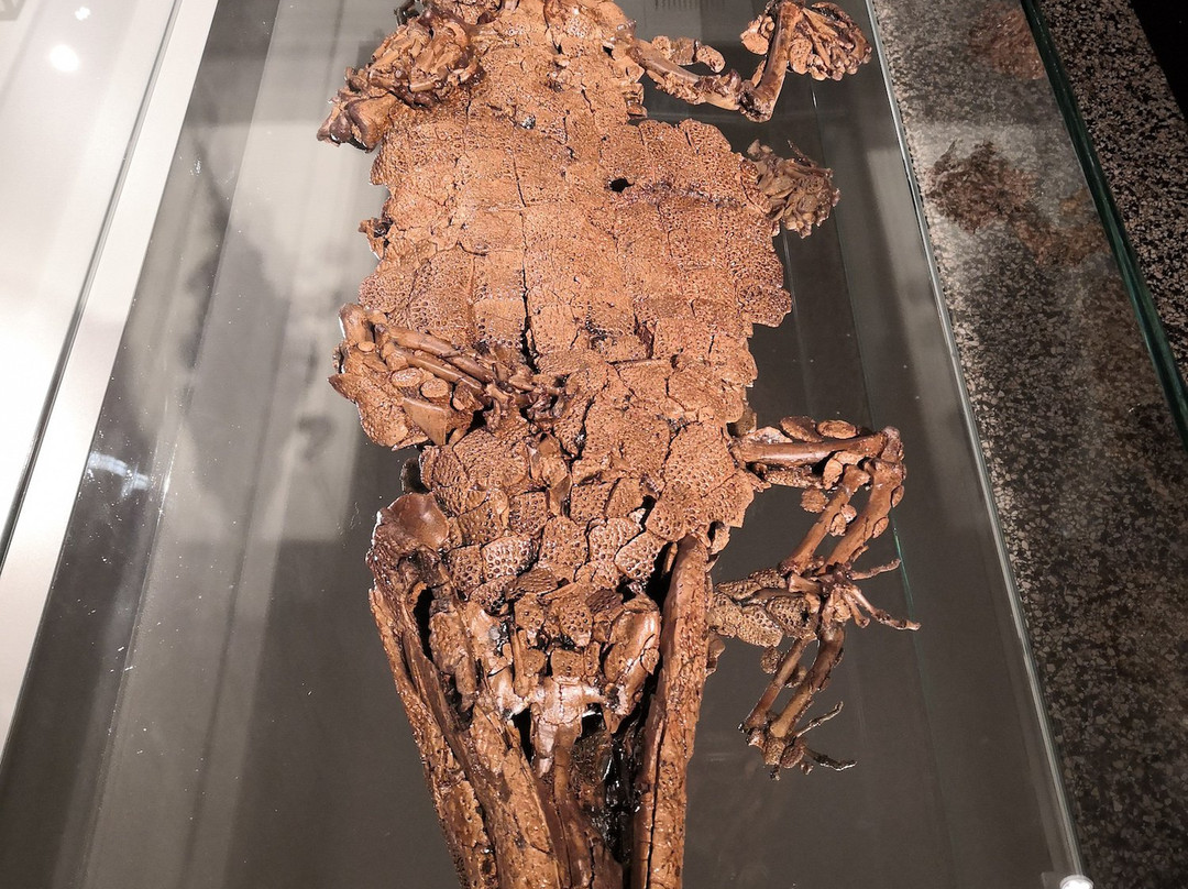 Hessisches Landesmuseum Darmstadt-达姆施塔特行政区必去景点