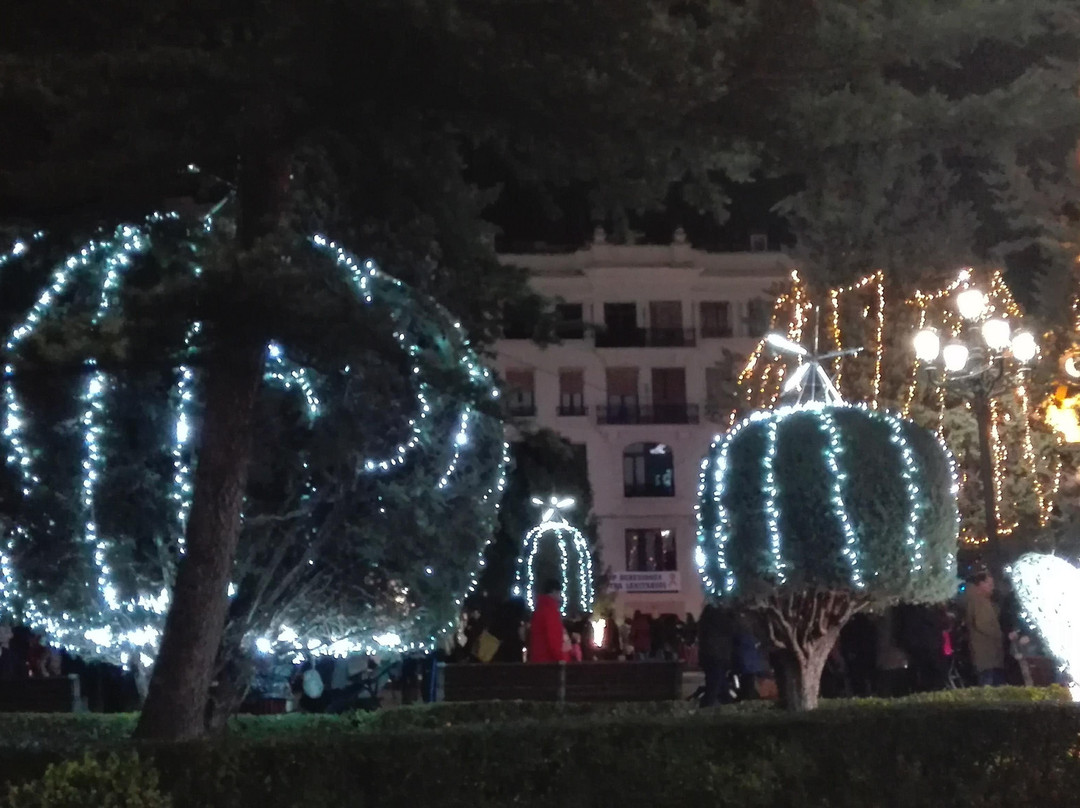 Jardines de la Plaza del Altozano景点图片