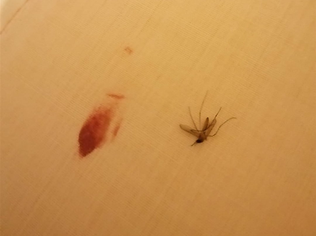 Hostal Huacachina Sunset主图