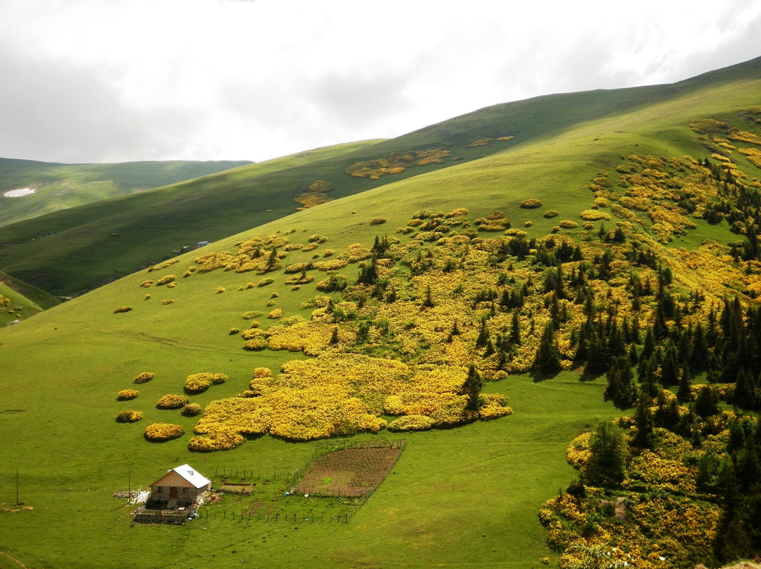 Kümbet Yaylasi景点图片