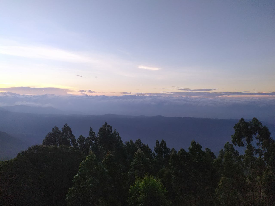 The Club Munnar主图