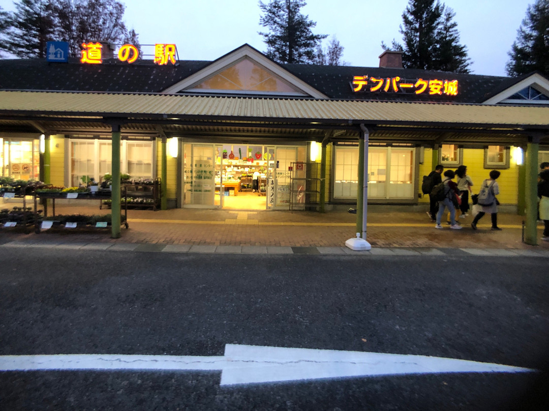 Michi-no-Eki Denpark Anjo-安城市必去景点
