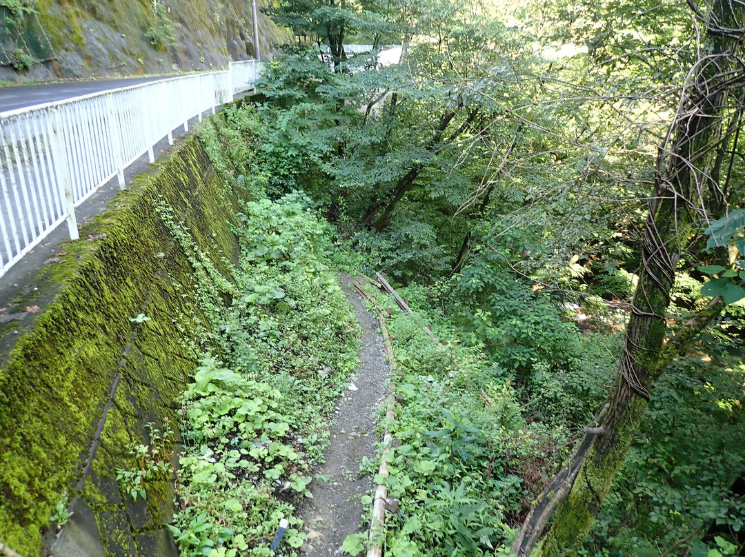 Oizumi Waterfall景点图片