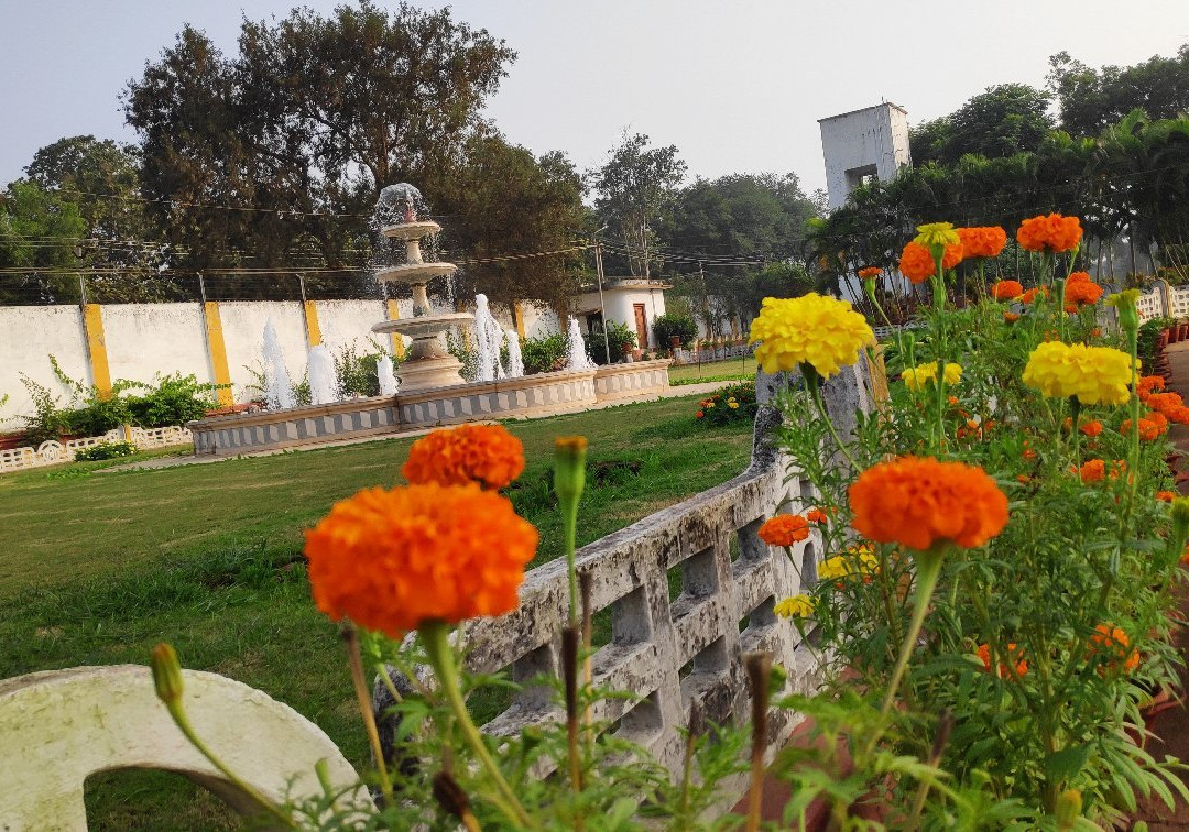 Rungta Garden景点图片