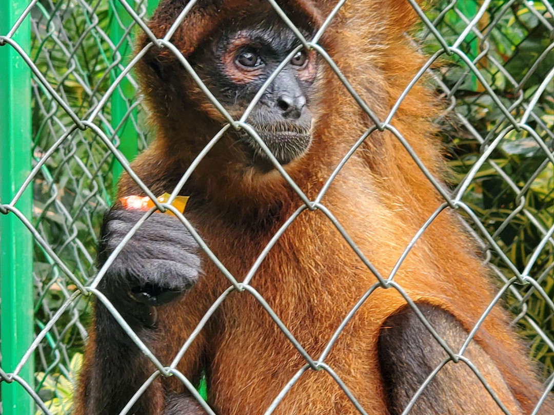 Alturas Wildlife Sanctuary-主日镇必去景点