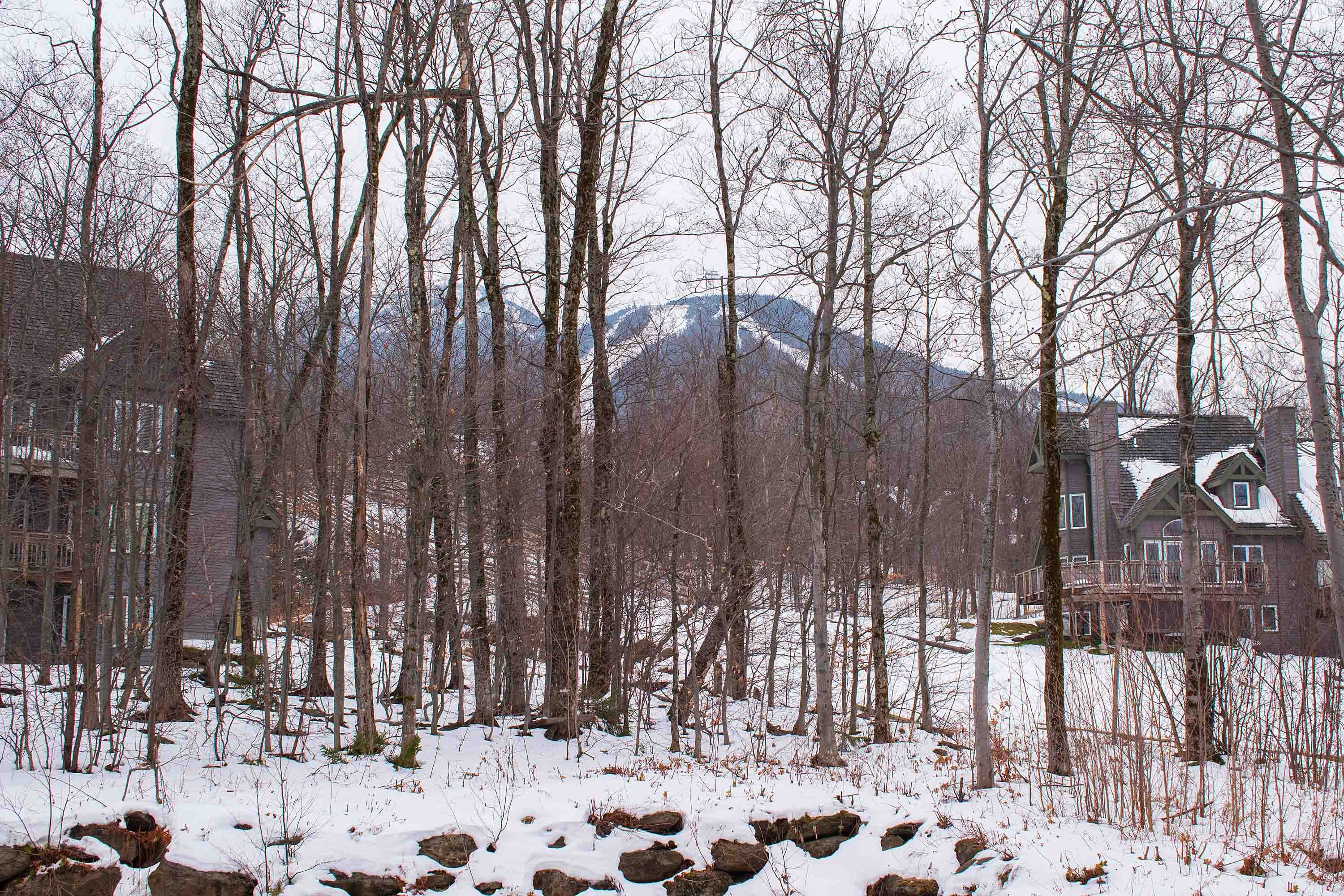 Jay Peak Resort-酒店景观