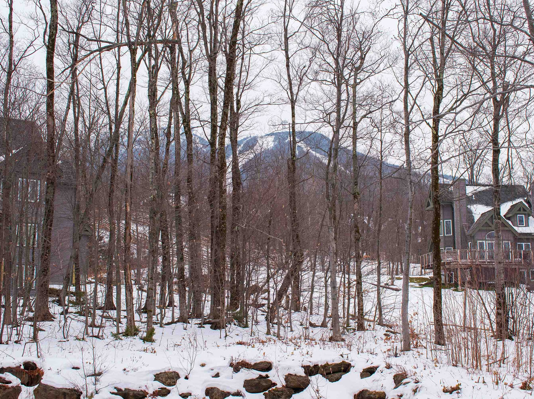 Jay Peak Resort主图