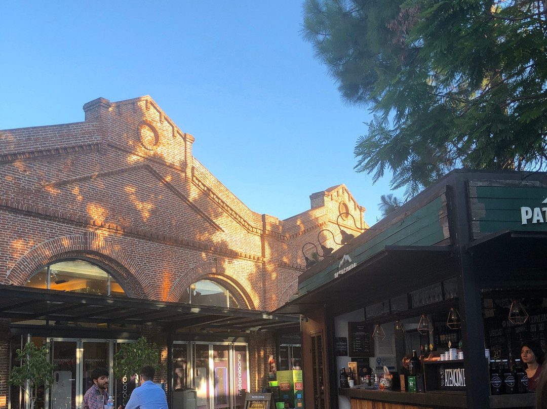 Cerveza Patagonia - Alto Rosario