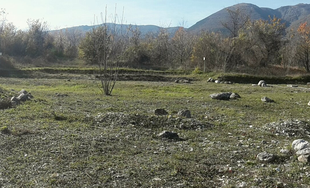 Necropoli di Campovalano景点图片