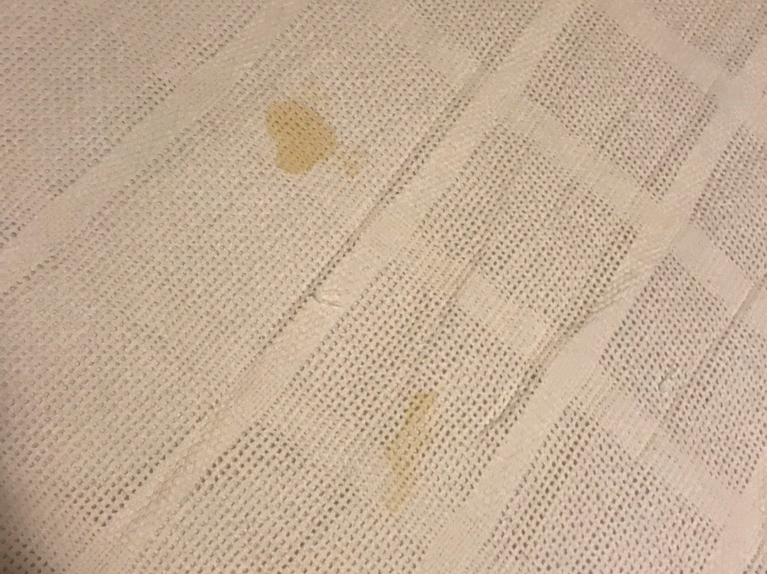 Paradise Cove Resort主图