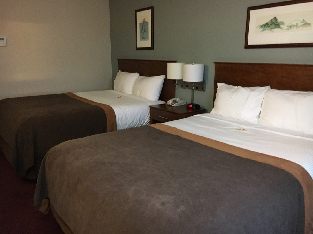 耶洛奈夫速8酒店主图