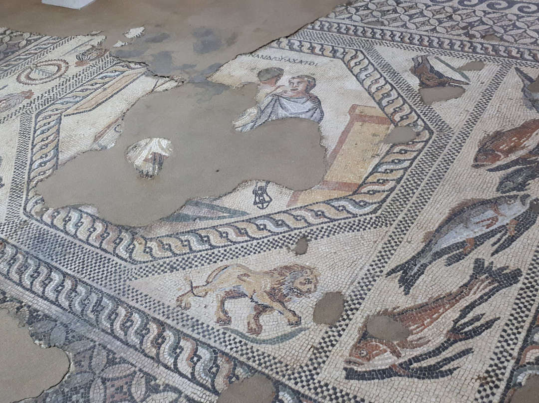 Regional Historical Museum-普利文必去景点