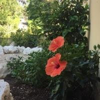 Villa Gusto e Benessere Holiday主图