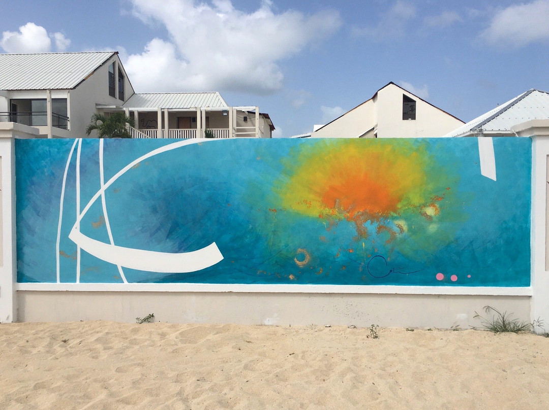 The Wall of Art-Marigot必去景点